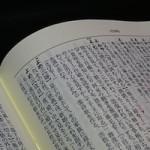 yougo0
